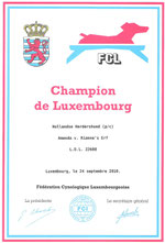 Championtitel