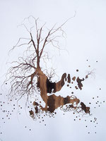 LAST n°63 brou de noix et acrylique sur papier 50 x 65  2009