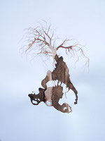 LAST n°59 brou de noix et sciure sur papier 50 x 65  2009