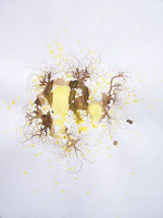 LAST n°62 brou de noix et acrylique sur papier 50 x 65  2009