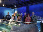 Bilder Sea Life