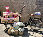 BICI CANDY BAR