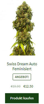 Swiss Dream Auto Feminisiert