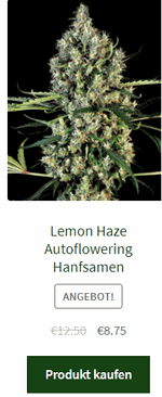 lemon haze autoflowering hanfsamen