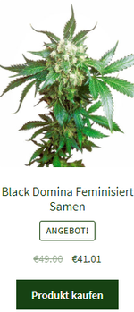 Black Domian feminisiert