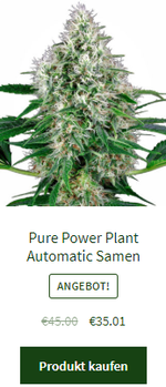 Pure Power Plant Automatic Samen