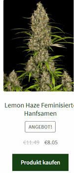 lemon haze feminisierte hanfsamen