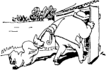 Wilhelm Busch Fipps, der Affe
