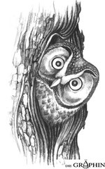 Offene Augen für die Natur