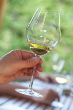 Verre de vin de Bourgogne blanc
