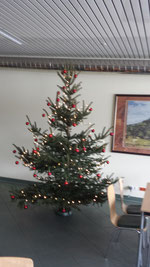 Christbaum 2013