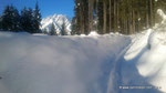 carnicoalpin | Lackenalm im Lesachtal