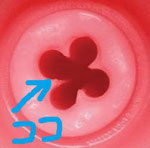縦ラインの快感発生源