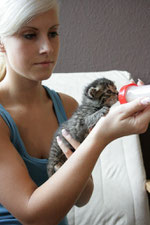 ralf seeger und die harten hunde bei uns im tierheim tierheim am sees webseite