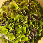 Blumengestaltung_Angelika-Gohm_Muenchen