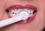 Mindestens zwei Mal täglich Zähne putzen (© Amanda Day)