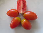 Datteltomate Helga,längliche, rote Früchte. Bild Bio Gärtnerei Kirnstötter