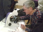 Emile au microscope