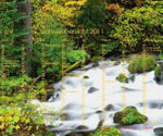 PC/GEOS Desktop Willamette National Forest, Oregon