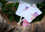 Design by Julie