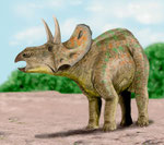 Bild eines Nedoceratops