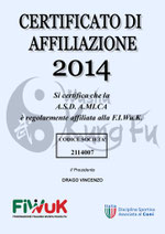Ingrandisci