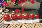 des tomates