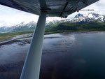 Alaska reisverslag, reisverslag alaska, bushplain, watervliegtuig, beren, Grizzly, grizzlie, Katmai, hello bay, campertrip alaska