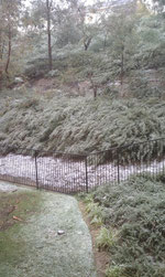 Snowfall in Valencia