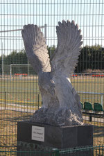 Mitglieder sammeln für den Adler (Klicke auf das Bild)