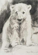 Eisbaren 1481232484s Webseite