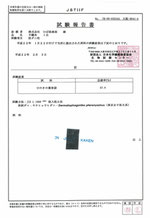 クリックで拡大