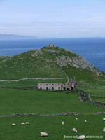 Torr Head