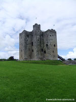 Trim Castle