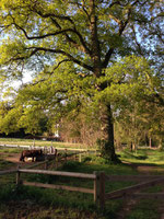 Cabane dans les arbres - Baie de Somme - Château des tilleuls - Port le Grand - Abbeville - Picardie - séjour insolite - week end atypique