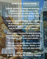 fado by Teresa Machado