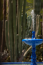 Jardin Majorelle