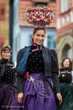 Landesfestumzug 2014 in Waiblingen