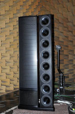 ESL proto in anechoic room of Aachen University