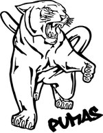 Pumas