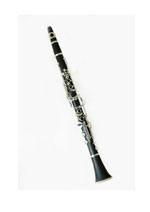 Blasinstrumente Musikschule Gaeu