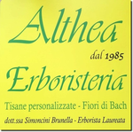 ALTHEA  Erboristeria  Venturina T.