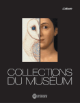 Collection du Muséum, 21 x 27, 80 pages