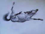 Graphic, 2010.