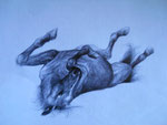 Graphic, 2010.