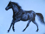 Graphic, 2010.
