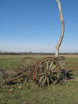 Wagenrad in der Wildnis