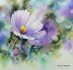 Cosmos