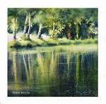 Etang de la lande foret au Grais