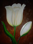 Tulpe weiß   60cm x 80cm   (verkauft)